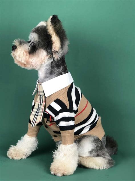 cheap designer dog clothes